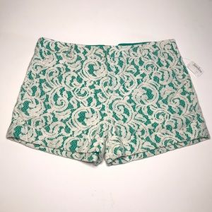 Tart Collection |  Lace Cuffed Shorts NEW